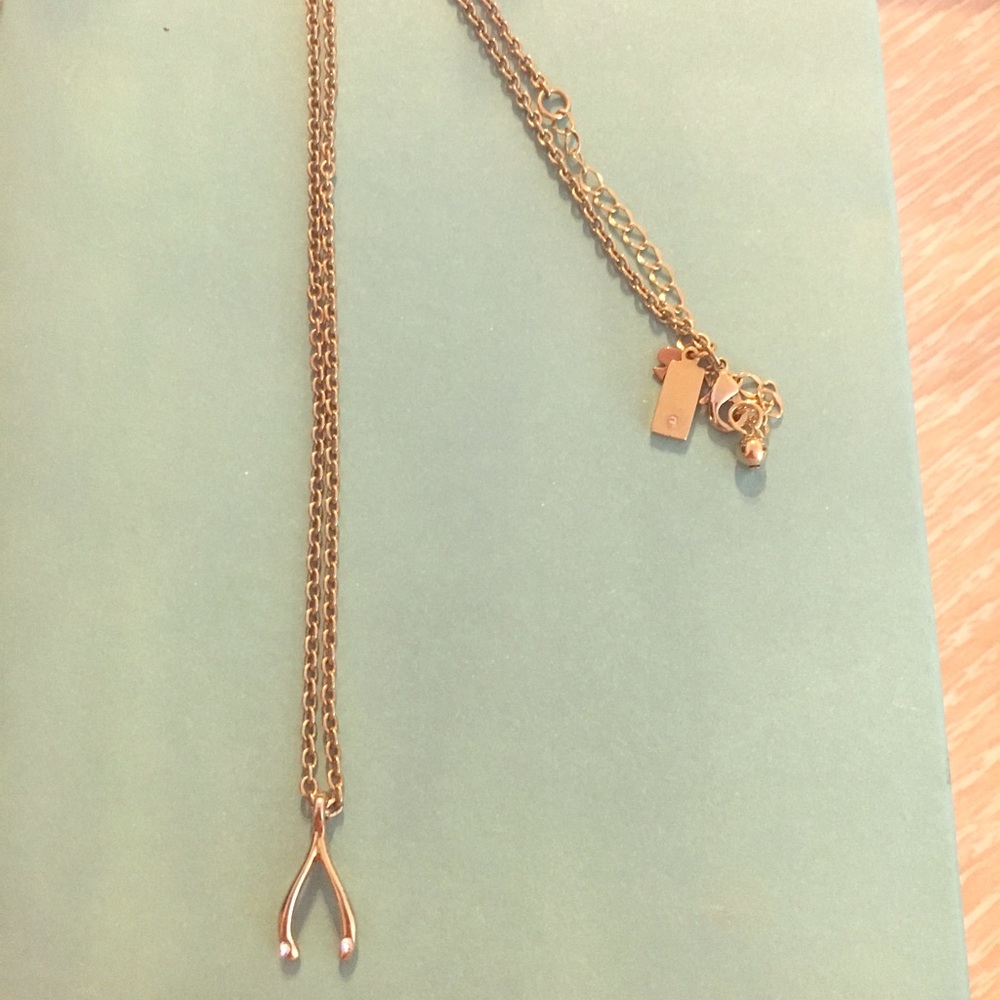 Kate Spade horseshoe necklace